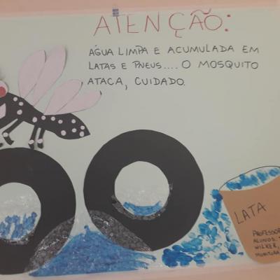 52467434 2443880185686091 6257309171750797312 N