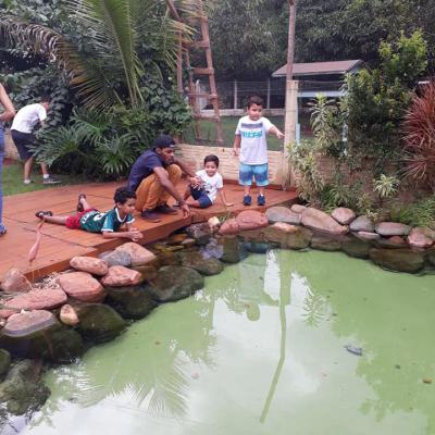 54436953 2322513657806535 2545047987243974656 N