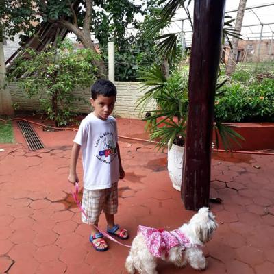 54515570 2322513314473236 2498871423750111232 N