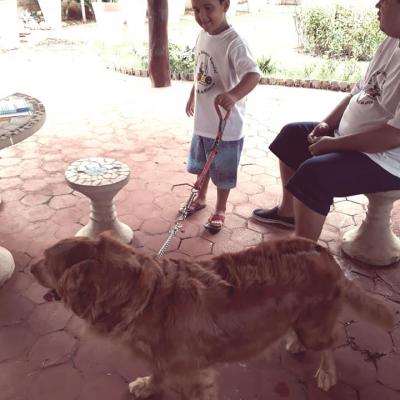 54522500 2322512924473275 1922199019753308160 N