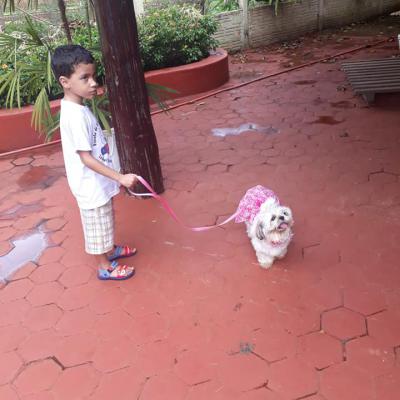 54525909 2322513837806517 26391667795820544 N