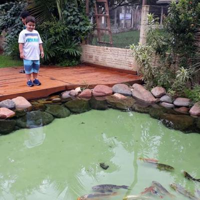 54727626 2322513037806597 2393409846121594880 N