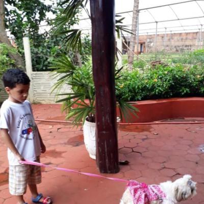 55481543 2322512974473270 209016911332114432 N