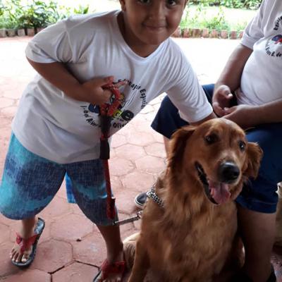 55492914 2322513167806584 1986703999700566016 N