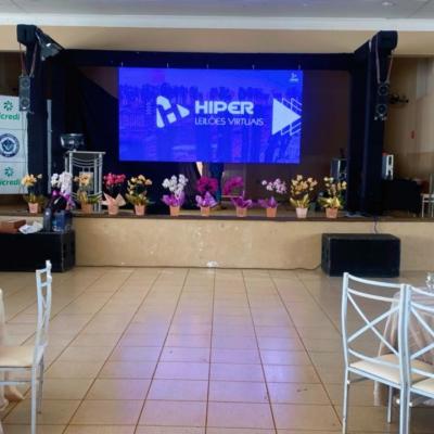 Leilão de Gado 2024