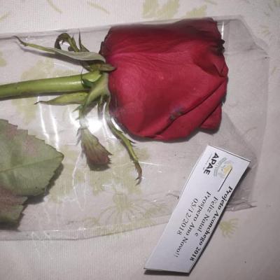 47575826 2290251801260289 9152497998364672000 N