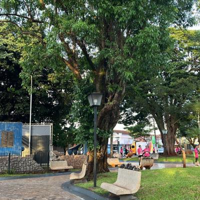 Whatsapp Image 2026 03 08 At 06.32.40